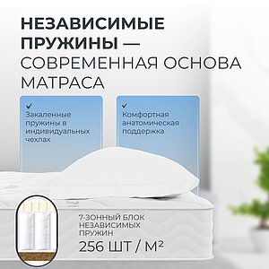 ������ ������� Melange EVS500 � ������ �������: ������ � ������� � 22 �������