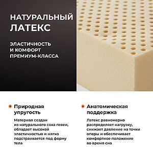 ������ ������� Orto Premium Middle � ����������� ��������� ����, 310 ������/�&sup2; � ��������� �������, ������������ ���: 160 ��.