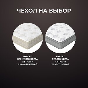 ������ ������� Orto Premium Middle � ����������� ��������� ����, 310 ������/�&sup2; � �������� 1,5 ����