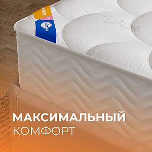  Plush    , 500 /&sup2;