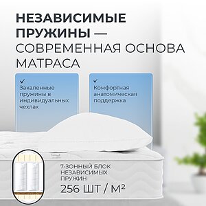 ������ ������� Prima EVS500 � ����������� ��������� ����� � ������ �������: 22 ��.