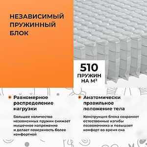 ������ ������� Teen Age � ������������� ������ � �������� 1,5 ����