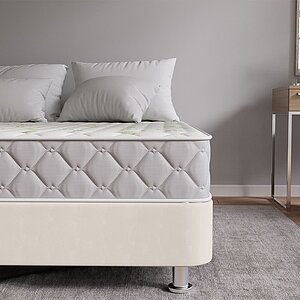 ������ ProSon Sova Classic � ������ �������: 17 ��. � �������� 1,5 ����