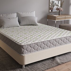 ������ ProSon Sova Classic � ������-������� ������ � 19 ��������