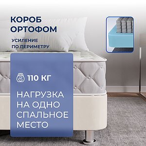 ������ ProSon Sova Classic � �������� 1,5 ���� � 19 ��������