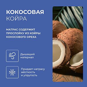 ������ ProSon Sova F � � ������ � ����������� ��������� ����, 256 ������/�&sup2;
