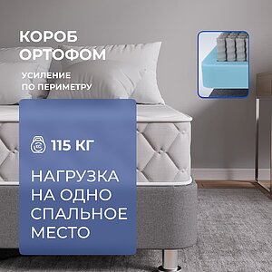 ������ ProSon Sova F � ����������� ��������� ����� � �������� 1,5 ����