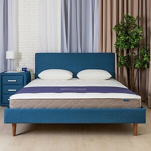 ������ ProSon Sova M � �������� 1,5 ���� � 32 �������