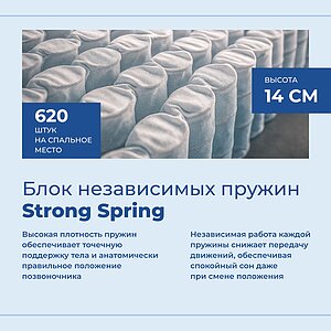 ������ ������ One Base Firm � ���� 28150 �. � ������ �������: 24 ��.