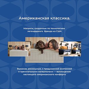 ������ ������ One Base Firm � ������������� ������ � �������� 1,5 ����