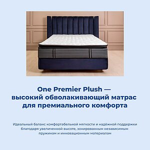 ������ ������ One Premier Plush � ������������� ������ � ��������� �������, ������������ ���: 150 ��.