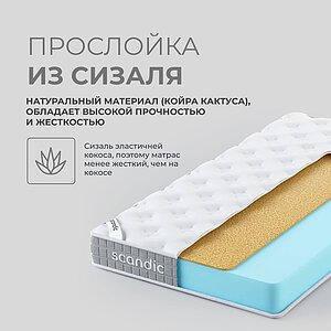 ������ ScandicSleep Alta � [65 x 195 ��] � ������ �������: 21 ��.