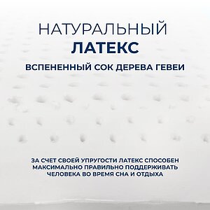 ������ Sleepline SleepTop CocoLatex