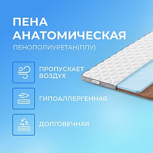 ������ Sleepline SleepTop ErgoCocos