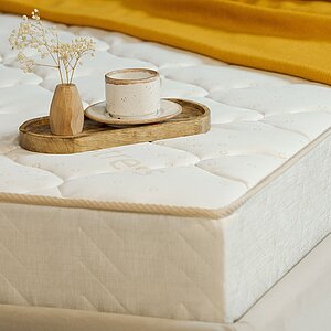 ������ Sontery Sleep Tonic Sansara by Askona � ������� '�������� ����' � ����������� ��������� ����, 500 ������/�&sup2;, 9 ��� ���������