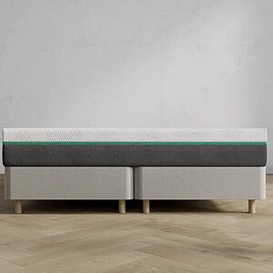 ������ Sonum Prime Soft