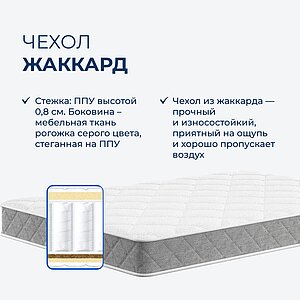 ������ Tabby Dual ��������