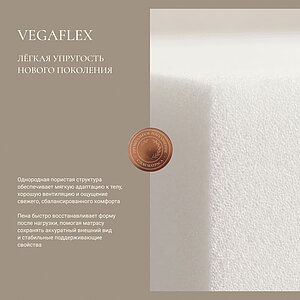 ������ Vegas Felicity Cream � �������� 3 ���� � 1 ������