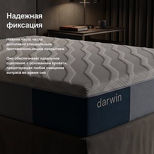 ������ darwin Bliss � ���� 74390 �. � ������� �����