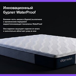 ������ darwin Bliss � ������� ����� � ����������� ��������� ����, 500 ������/�&sup2;, 7 ��� ���������