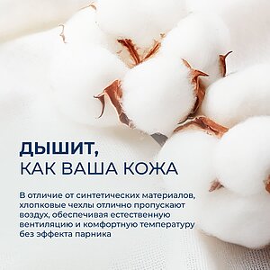 ������ ����������� Dimax ������� ��������
