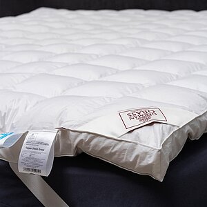 ������������ ������ ���� �����