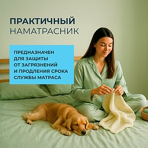 ������������ ���� ���� ����