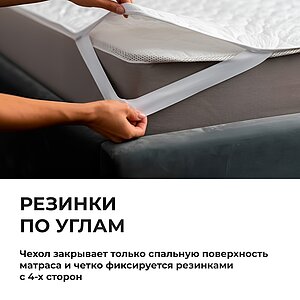 ������������ ���� ����