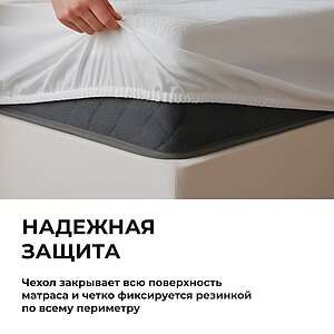 ������������ ����� ����