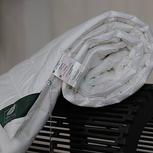 ������ Anna Flaum Bamboo, ����������� � ���� 12884 �. � ������