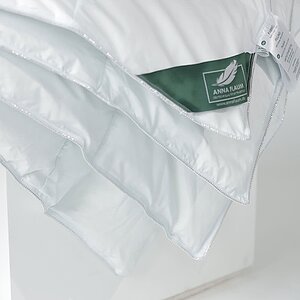 ������ Anna Flaum Eis, ������ � ���� 27930 �. � 40 ��������