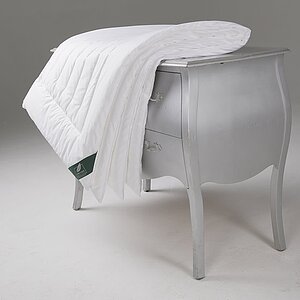 ������ Anna Flaum Fitness, ����������� � ������������� ��� � 29 ��������