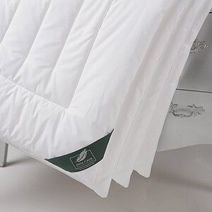 ������ Anna Flaum Fitness, ����������� � ������������� ��� � �����������