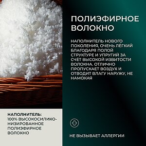 ������ ������ Anna Flaum Fitness, ����������� ��������