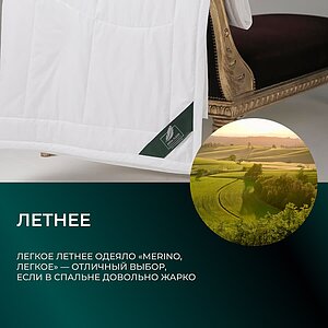 ������ Anna Flaum Merino, ������ � ���� 15118 �. � 39 ��������