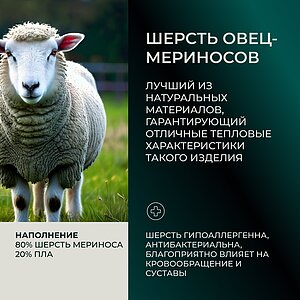 ������ ������ Anna Flaum Merino, ������ ��������