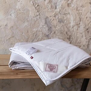 ������ �������� �����