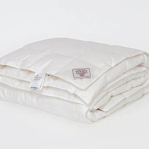 ������ ���� ���� �����