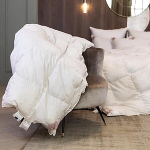 ������ ������ ���� ����� all seasons ����