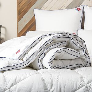 ������ ������ ��� �����, ������ � ������ � 41 ������