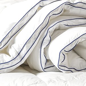 ������ ������ ��� �����, ������ � ������������� ��� � 41 ������