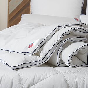 ������ ������ ��� �����, ������ � ������ � 41 ������