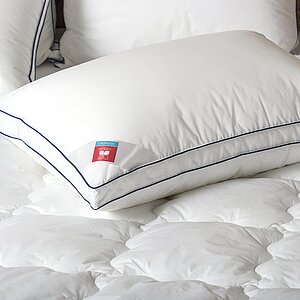 ������ ������ ��� �����, ������ � ���� 6118 �. � 41 ������