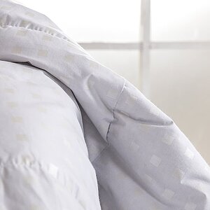 ������ ������� ������ ��� ��������, ������ � ���� 16172 �. � ���������