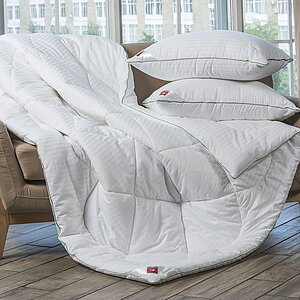 ������ Bamboo