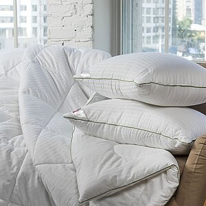 ������ ������ ������ ��� ������, ������ ��������