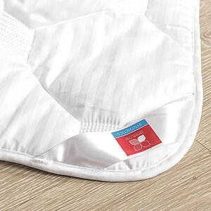 ������ Elison