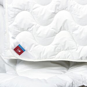 ������ ������ ��� ����, ������ � ������ � 19 ��������