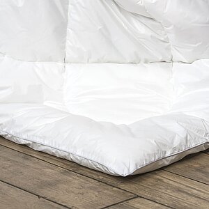 ������ ������ ��� ����, ������ � ���� 4253 �. � 19 ��������