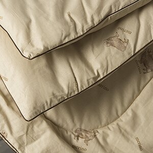 ������ ������ ��� �����, ������ � ���� 4101 �. � ������